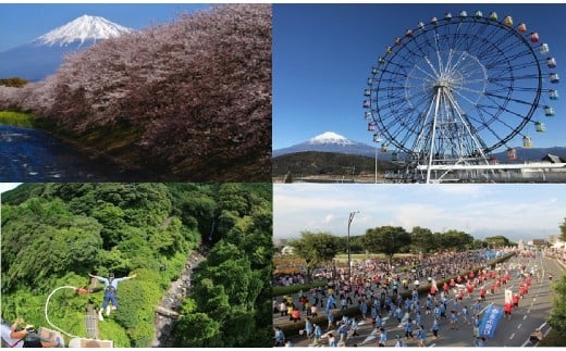 宿泊券「富士市ホテル旅館組合 宿泊ギフト券」 1枚 富士市 チケット(1238)