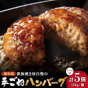 【ふるさと納税】南島原手ごね ハンバーグ オリジナル ソース付き 150g×5個 / 手ごね おかず 冷凍 牛肉 豚肉 / 南島原市 / はなぶさ [SCN038]