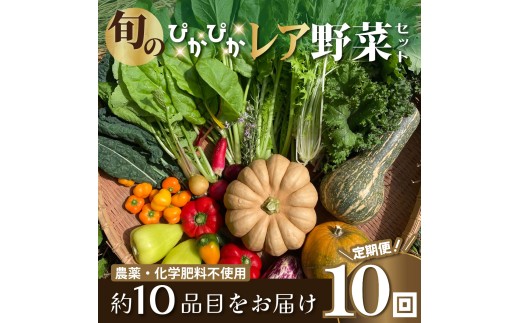 農薬化学肥料不使用 雲の上ガーデンのぴかぴか野菜セット（10回お届け）季節にあわせて10品目前後を毎月お届け【L003】季節 旬 詰め合わせ 採れたて 新鮮 産地直送 高知県産 冷蔵便 定期便