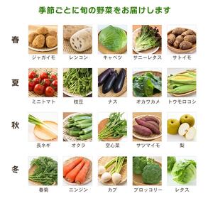 【 全3回定期便 】 野菜 詰め合わせ 産地 直送 10～14種 減農薬 栽培 旬 採れたて やさい 家庭用 健康 食材 静岡県 藤枝市 