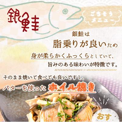 ふるさと納税 美浜町 和歌山魚鶴仕込の甘口塩銀鮭切身4切&天然塩さばフィレ4枚(2切×2パック&2枚×2パック　小分け) |  | 01