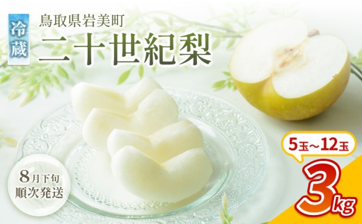 【先行予約】中野農園 梨 ”二十世紀梨” 3kg 冷蔵便発送｜鳥取 岩美 梨 なし ナシ 20世紀梨 青梨 果物 フルーツ ※お届けは2026年8月下旬頃～【41074】