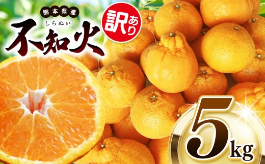 【 先行予約 】 訳あり 不知火 約 5kg 池田ファーム | 柑橘 みかん フルーツ 和製 わけあり 訳アリ 規格外 不揃い 家庭用 果物 熊本県産 熊本県 熊本 くまもと 和水町 なごみまち なごみ ミカン 柑橘類 果物 フルーツ