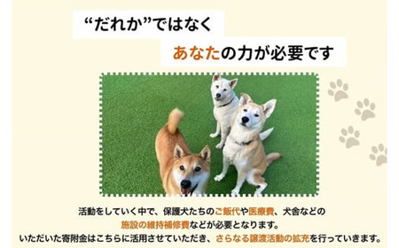 那須ハイ＆りんどう湖　SOS保護犬活動　お礼品なし〔A-57〕｜保護犬 支援 動物愛護 応援 地域応援 愛犬 愛犬家 動物 ペット 社会貢献 保護活動 那須 栃木県 那須町