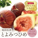 【ふるさと納税】とよみつひめイチジク（4パック）約1.2kg 無花果 いちじく 福岡県 福智町産 ブランド 果実 送料無料 　《 予約受付 》U20-01