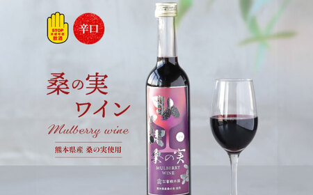 桑の実 ワイン （辛口） 500ml×1本【株式会社 峯樹木園】[AYBM005]