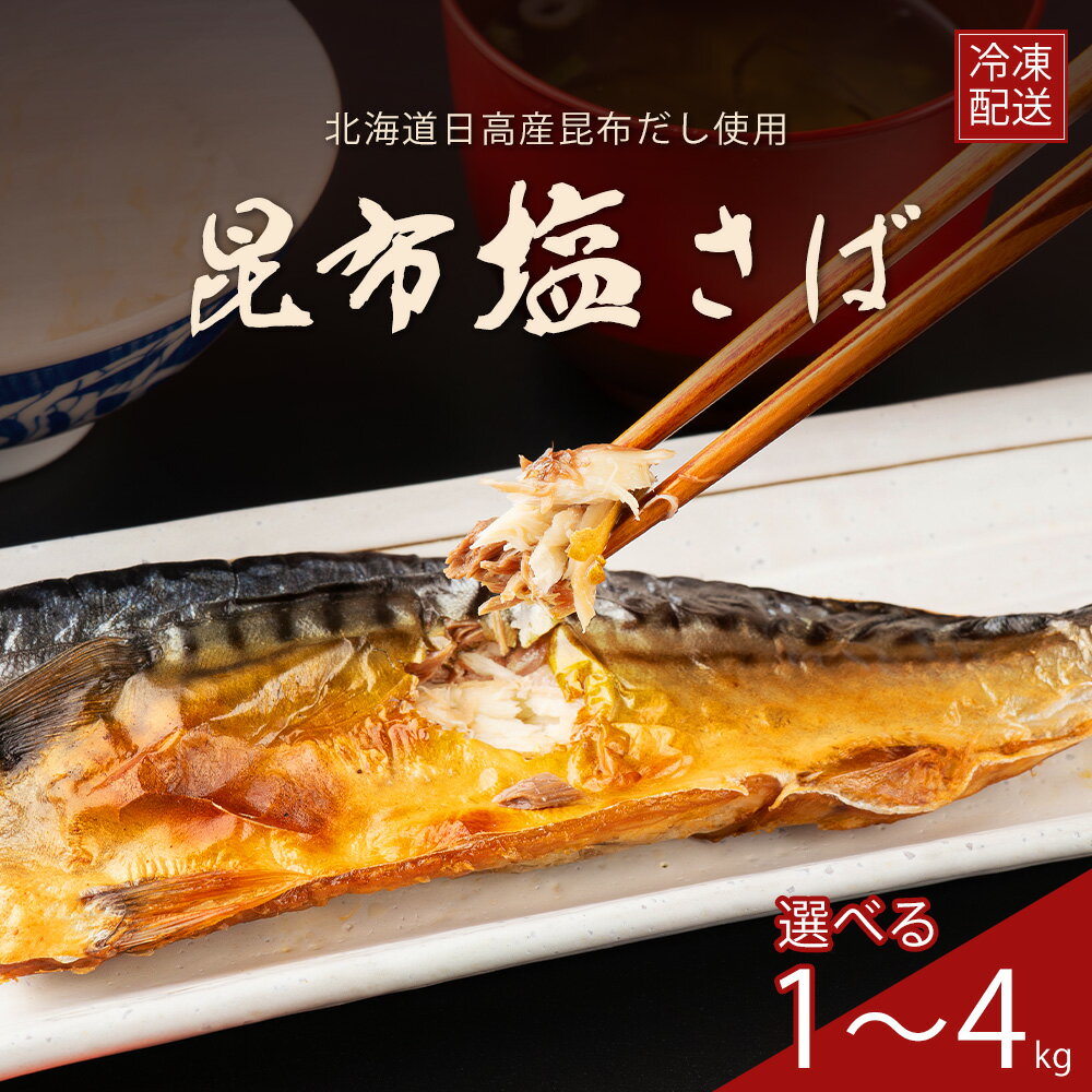 【ふるさと納税】 訳あり サバ さば 塩さば 塩サバ 国産 塩鯖 選べる 昆布 昆布塩 冷凍 フィレ フィーレ 切り身 大容量 【四国中央市 紙のまち 日本一】