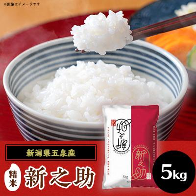 ふるさと納税 五泉市 令和7年産 新潟県五泉産　新之助5kg