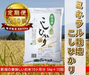 【新米】10ヶ月定期便 ミネラル栽培こしひかり 5kg×10回 計50kg 白米 精米 井上米穀店 1I03110