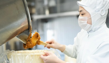 10P166 山崎醸造 味噌食べ比べセット 調味料 味噌 みそ 調味料 新潟 小千谷