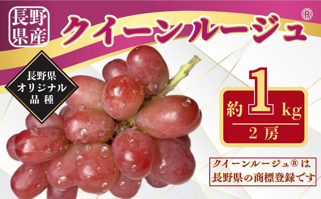 
            【2026年先行予約】クイーンルージュ🄬 約1kg｜赤ぶどう 果物 フルーツ 種なし 皮ごと 信州 特産品 千曲市 長野県産 信州
          