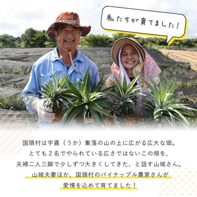 【2025年7月～8月の発送】パイナップルの王道 Nパイン4玉【配送不可地域：離島】