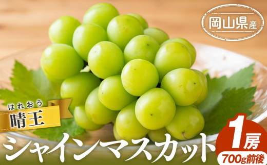 
                  シャイン マスカット 2026年  晴王 1房 500g前後 マスカット ブドウ 葡萄  岡山県産 国産 フルーツ 果物 ギフト
                