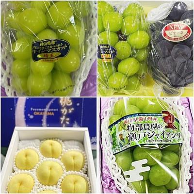 ふるさと納税 津山市 【発送月固定定期便】岡山県産  フルーツ定期便全4回 |  | 01