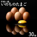 【ふるさと納税】平飼い鶏の『いのちのたまご』30個