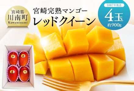 【令和8年発送】宮崎県産完熟マンゴー　「レッドクイーン」4玉(900g) 【 果物 フルーツ マンゴー 宮崎県産 完熟マンゴー みやざきマンゴー 先行予約 数量限定 期間限定 】