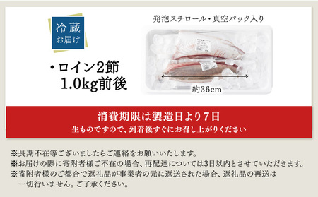 KU281-2512 ＜2025年12月発送分＞活じめ！黒瀬ぶりの生鮮ブリロイン2節（1kg前後）