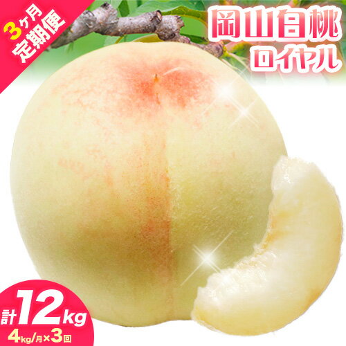 【ふるさと納税】【2025年 先行受付】 白桃 岡山 定期便 ロイヤル 4kg 3回発送 計12kg《2025年7月上旬-8月上旬頃出荷予定》岡山県産 フルーツ 果物 定期便 定期