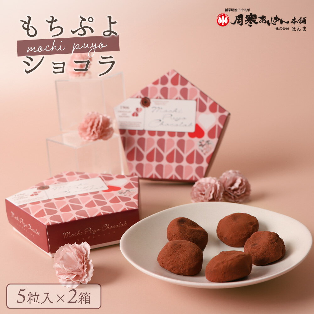 【ふるさと納税】もちぷよショコラ5粒入×2箱セット【17004601】
