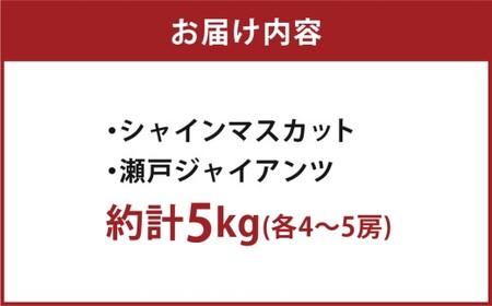 岡山県産ぶどう2種（シャインマスカット+瀬戸ジャイアンツ）家庭用 約5kg ぶどう ブドウ 葡萄 果物 フルーツ 岡山県 倉敷市【2026年9月上旬～9月下旬まで順次発送予定】