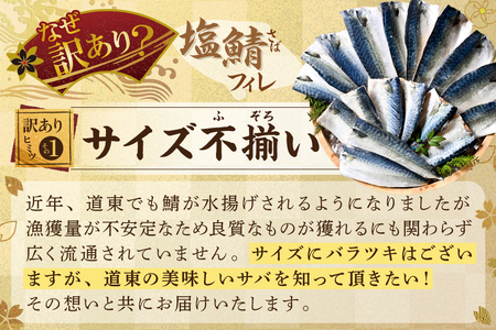 減塩 サバ フィレ 訳あり  2kg （ 訳あり 塩サバ 訳あり 塩さば 訳あり 塩鯖 サバ フィレ サバ フィーレ  サバ 切り身 サバ 切身）