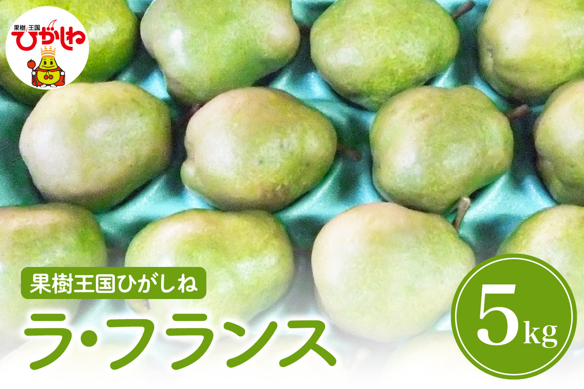 
                  【2026年産 先行予約】西洋梨「ラ・フランス」5kg 滝口観光果樹園提供 山形県 東根市 hi030-046
                