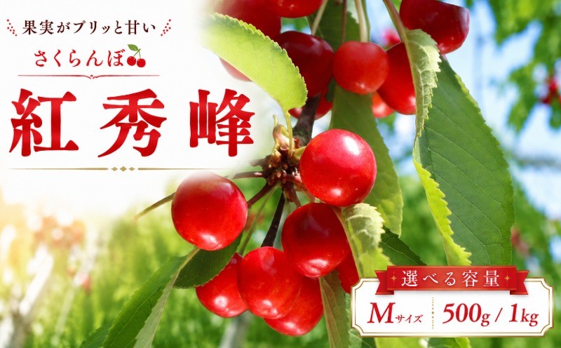 
                  【先行予約】 さくらんぼ 紅秀峰 M 500g 1kg 6月下旬発送 大粒 果汁 甘 ジューシー 人気 果物 フルーツ 国産 産地直送 お取り寄せ 贈り物 岩手県 盛岡市 東北 岩手 盛岡 田屋果樹園 taya001P
                