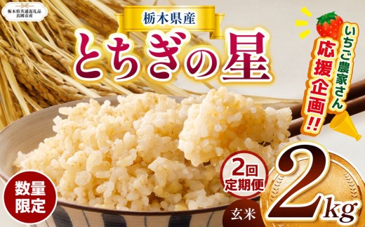 【栃木県共通返礼品】【先行予約】【定期2回】訳あり 数量 限定 令和8年度産 とちぎの星 約 2kg | とちぎの星 ミルキークイーン kome okome ご飯 お米 米 日本米 玄米 白米 ごはん おいしい  ふるさと納税 栃木県 那珂川町 送料無料