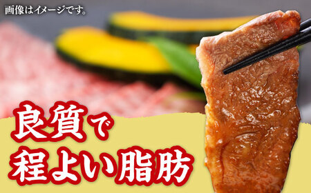 【全6回定期便】GI認証 くまもとあか牛 焼肉用 約500ｇ 焼肉用[AYCP063]