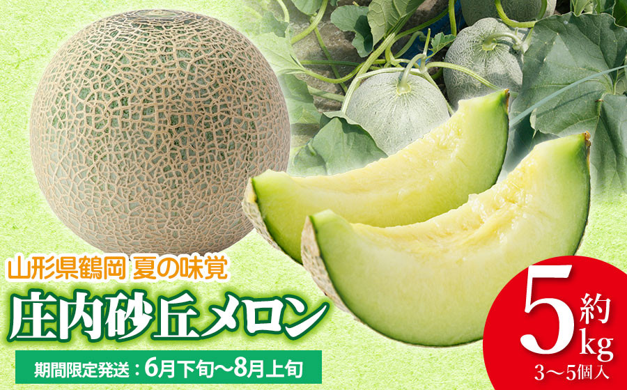 
                  【令和8年産】庄内砂丘メロン 約5kg（3～5個入り）アンデスメロン サンエイファーム　| メロン めろん 5キロ フルーツ 果物 くだもの 夏 旬 デザート 産地直送 山形 鶴岡 庄内 庄内産 東北 人気 おすすめ 美味しい 贈答 国産 お取り寄せ 返礼品
                