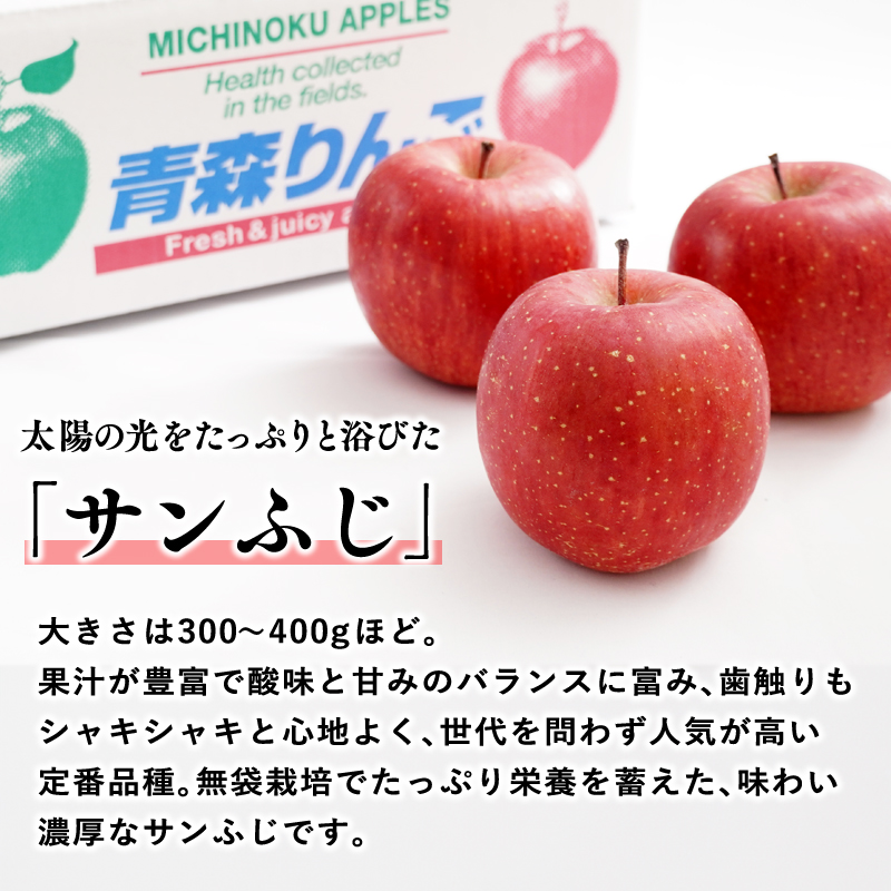 年明け 吹田りんご園 山の完熟サンふじ約5kg 【吹田りんご園・青森りんご・平川市広船産・1月・2月・3月】