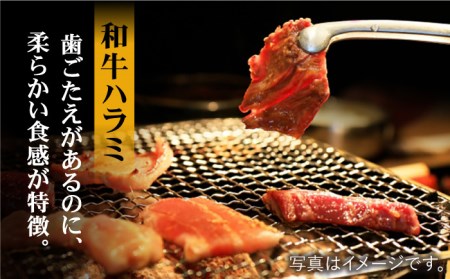 【大容量】ホルモン専門店の豪華！焼き肉5種セット計2kg（和牛ハラミ800g ／ 豚ハラミ・丸腸・小腸・シマ腸 各300g）【三田川ホルモン専門店】 [FAC016]