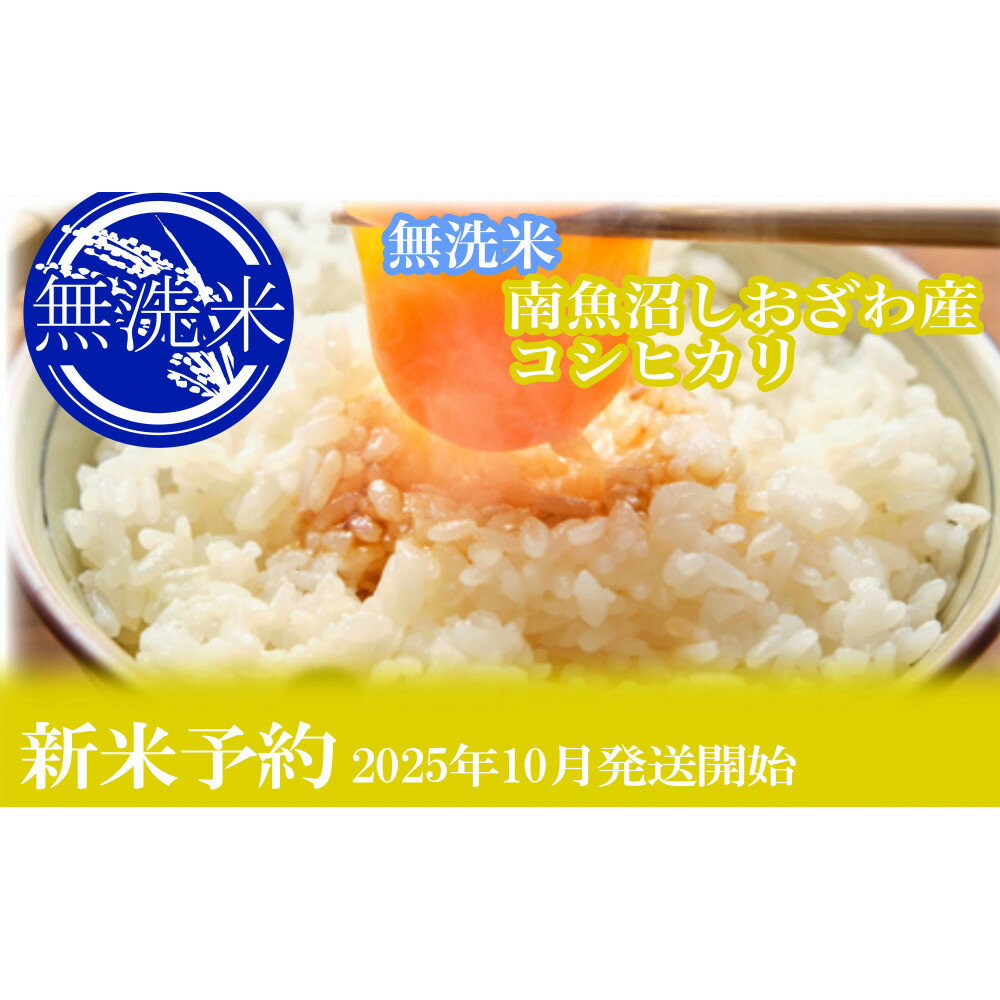【ふるさと納税】【新米予約・令和7年産】定期便12ヶ月：無洗米2kg●南魚沼しおざわ産コシヒカリ【2025年10月上旬より順次発送予定】 | お米 こめ 白米 コシヒカリ 食品 人気 おすすめ 送料無料 魚沼 南魚沼 南魚沼市 新潟県産 新潟県 精米 産直 産地直送 お取り寄せ