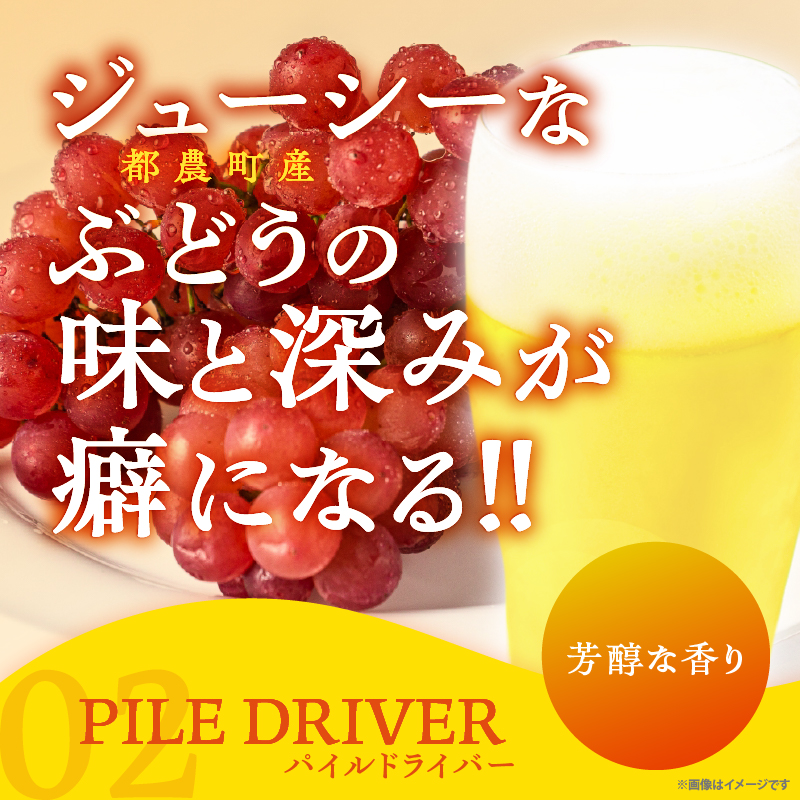 都農クラフトビール詰め合わせ6本セット_T016-003【酒 アルコール 飲料 国産 人気 ギフト お酒 地酒 晩酌 BBQ 贈り物 お土産 送料無料 プレゼント】
