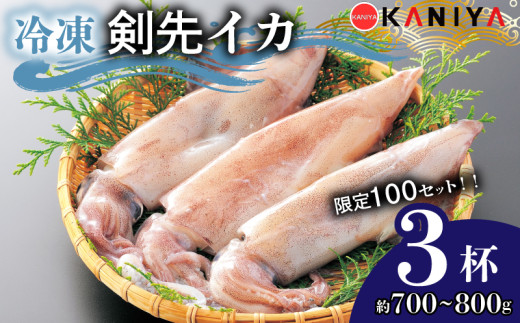 【 100セット 限定 】【 寄附金額変更中 】 イカ 剣先イカ 約 700g ~ 800g 冷凍 いか 3杯 お刺身用 生食可能 ケンサキイカ おいしい 剣先いか 急速  冷凍 直送 CAS凍結 イカ 新鮮 海産物 山口県産 ご飯 蟹屋 KNY-KE01-sp 下関 山口 【 14営業日以内発送 】 《蟹屋：KNY》