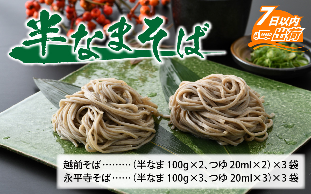 
ヤマサ製麺 半生そば 15食（越前そば6食+永平寺そば9食）【蕎麦 そば 半生そば 麺類 越前 永平寺 和食 小分け つゆ付 冷蔵配送 冷凍保存 長期保存】[A-120009]
