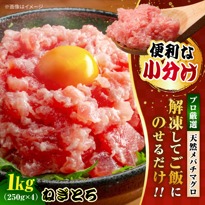 まぐろ ねぎとろ 約1kg（約250g×4パック）【横須賀商工会議所 おもてなしギフト事務局（本まぐろ直売所）】[AKAK005]