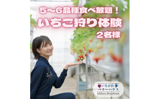 5～6品種食べ放題!いちご狩り体験2名様ご招待!【1542971】