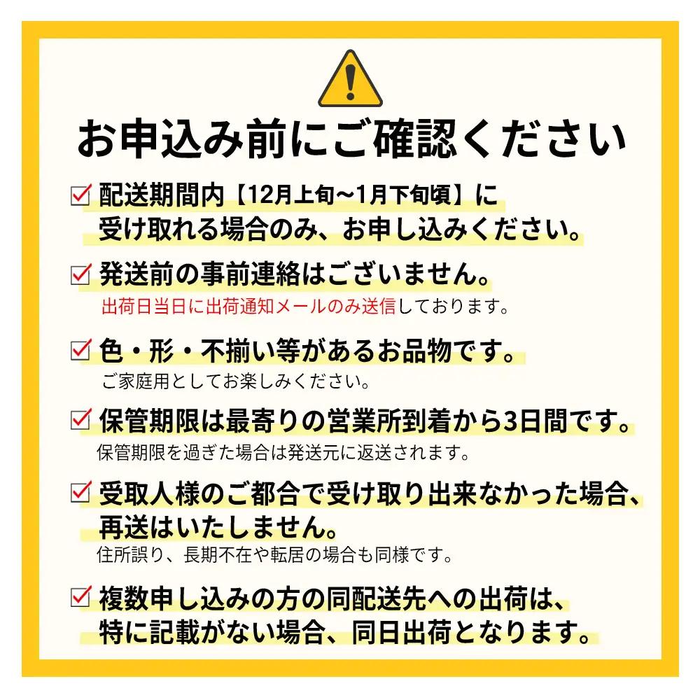 【先行予約】【冬】福岡産あまおう2パック 3V1