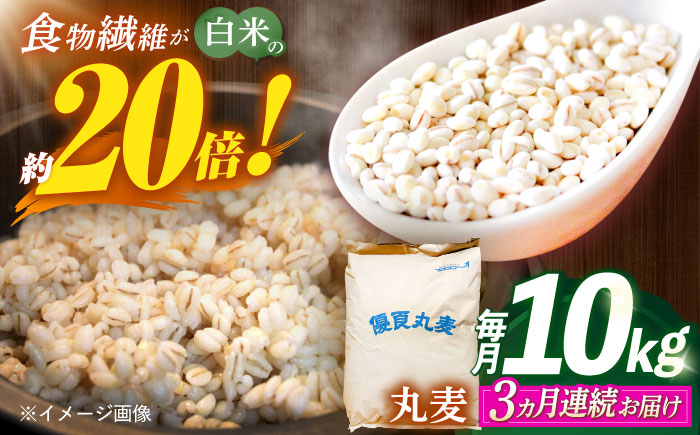 
            【全3回定期便】 長崎県産 丸麦 10kg / 麦 むぎ 雑穀 雑穀米 麦ごはん 麦飯 麦みそ 食物繊維 長崎県産 米 こめ コメ ※ / 諫早市 / 有限会社伊東精麦 [AHBU006]
          