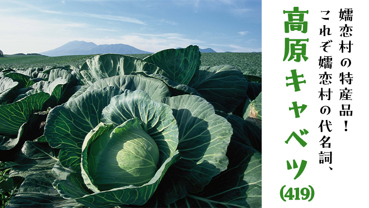 【 8月下旬発送開始 】 嬬恋キャベツ と旬の 高原 野菜 セット 1～2人 様向け 旬の野菜 先行予約 キャベツ 群馬 419 嬬恋キャベツ 産地直送 少量 詰め合わせ アソート [AK001tu]