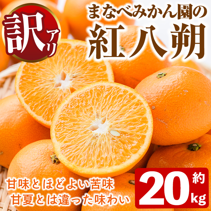 ＜先行予約受付中！2027年2月上旬以降順次発送予定＞訳あり！まなべみかん園の紅八朔(約20kg) 国産 鹿児島県産 阿久根市産 柑橘類 果物 デザート フルーツ 数量限定 期間限定 ご自宅用 ご家庭用 【有限会社まなべみかん園】akn034-19