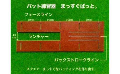 ゴルフ練習セット・標準＆最高速（90cm×4m）2枚組パターマット