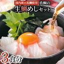 【ふるさと納税】真鯛の「生鯛めしセット」3食分【配送不可地域：離島】【1240431】