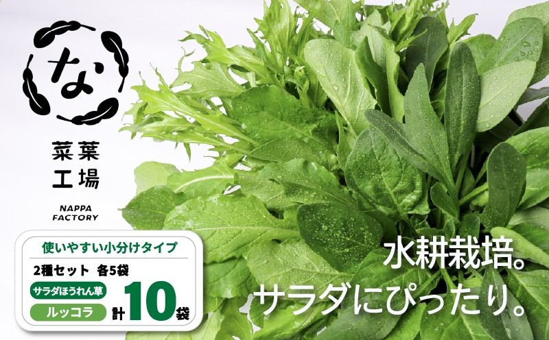 
                  葉野菜 2種セット サラダ ほうれん草 ルッコラ | ほうれんそう ホウレンソウ 水菜 ミズナ 生食 野菜 セット 新鮮 健康 人気 おすすめ 高知県 南国市
                