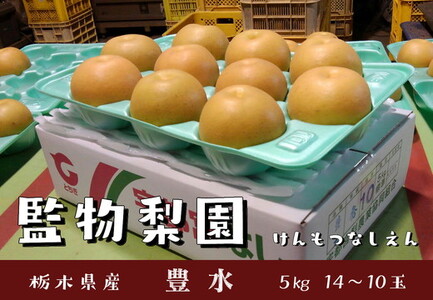 栃木県産 梨【豊水】5kg（14~10玉） ※2026年9月～発送