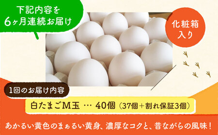 【全6回定期便】【化粧箱入り】白たまご M玉 40個（37個＋3個割れ保証）【農事組合法人 鹿本養鶏組合】タマゴ 玉子 熊本県 卵 国産 新鮮 しろたまご M玉 濃厚  [ZCA011]