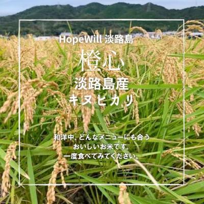 ふるさと納税 南あわじ市 淡路島産「橙心(きぬひかり)」　玄米3kg |  | 01