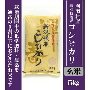 【新潟特別栽培米】【玄米】刈羽村産コシヒカリ 5kg【1576367】