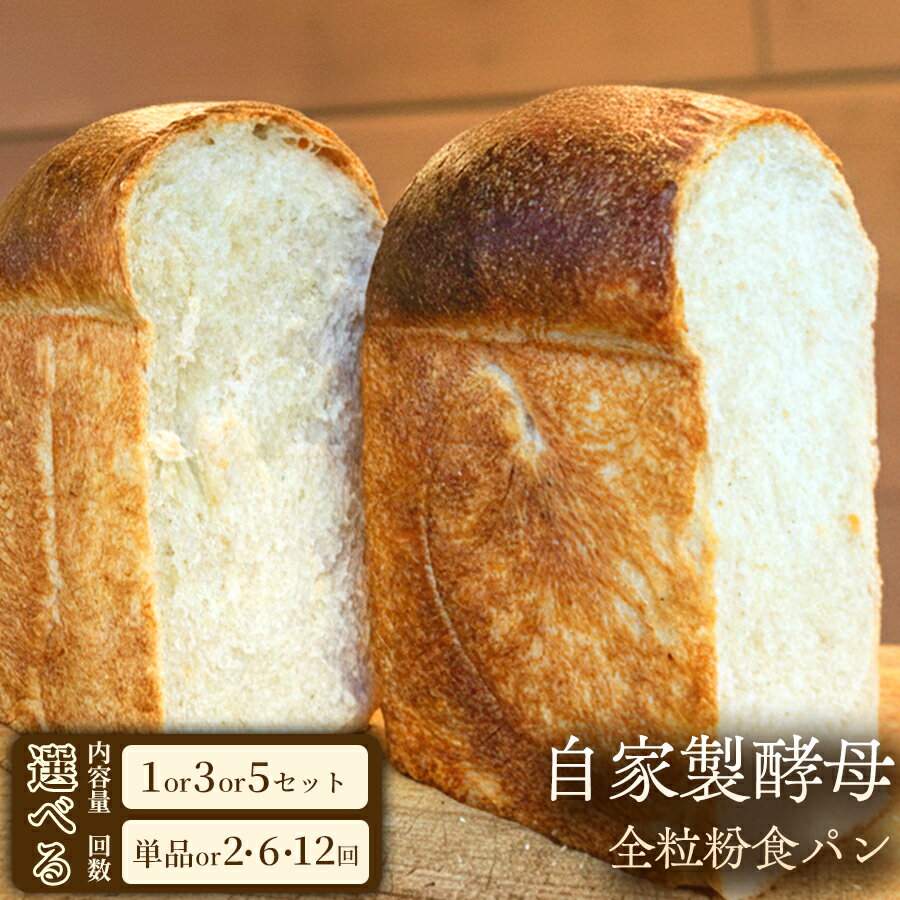 【ふるさと納税】香ばしさとしっかりとしたもっちり食感の自家製酵母全粒粉食パン（2斤・4山）